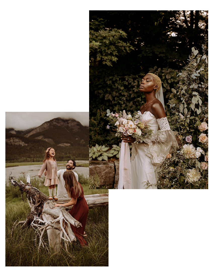 Nova Presets - Meridian Presets