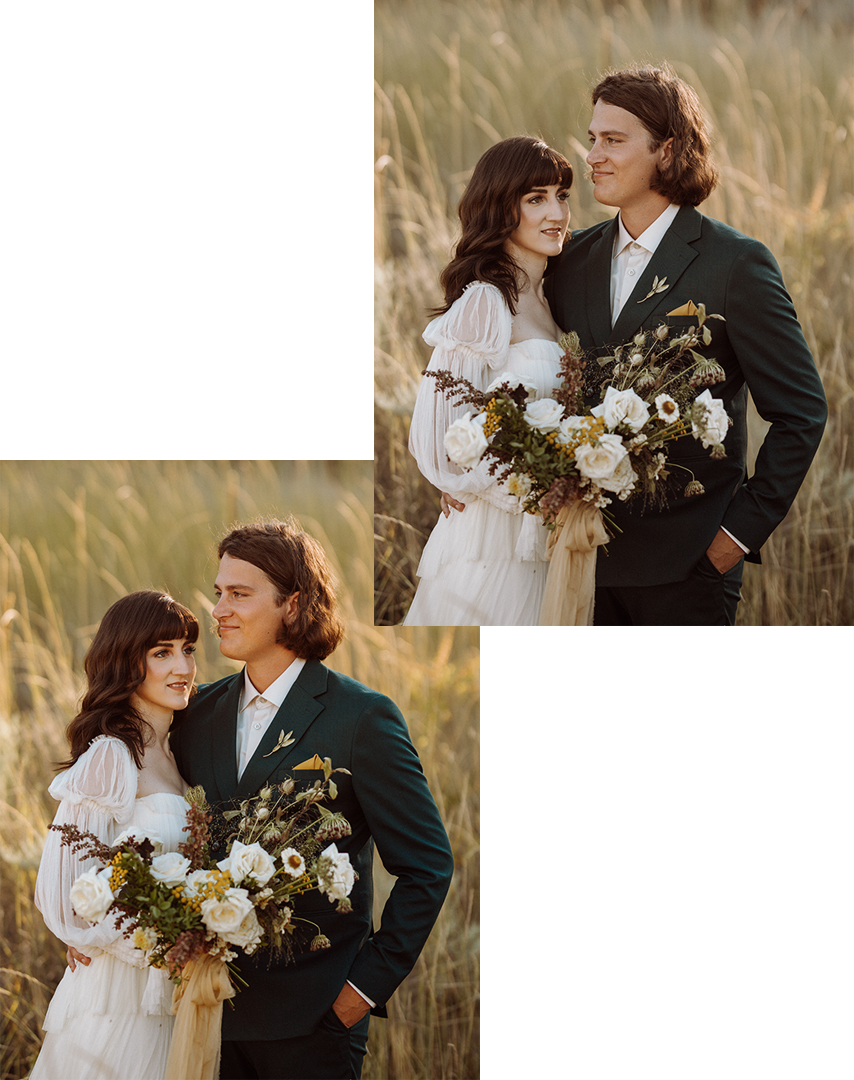 Nova Presets - Meridian Presets