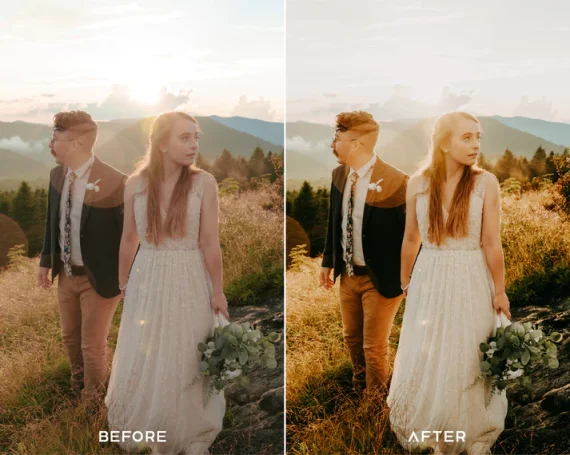 Instant Film Preset and LUTs Collection