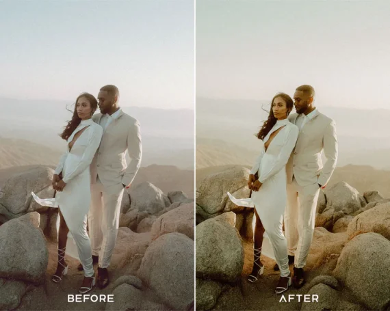 Instant Film Preset and LUTs Collection