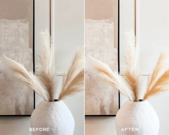 Light & Airy Preset  and LUTs Collection