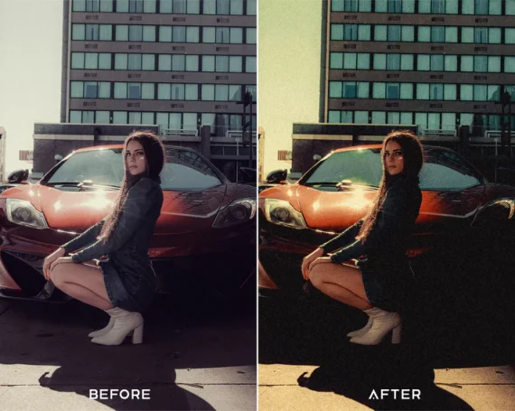 Memoir Preset and Luts Collection