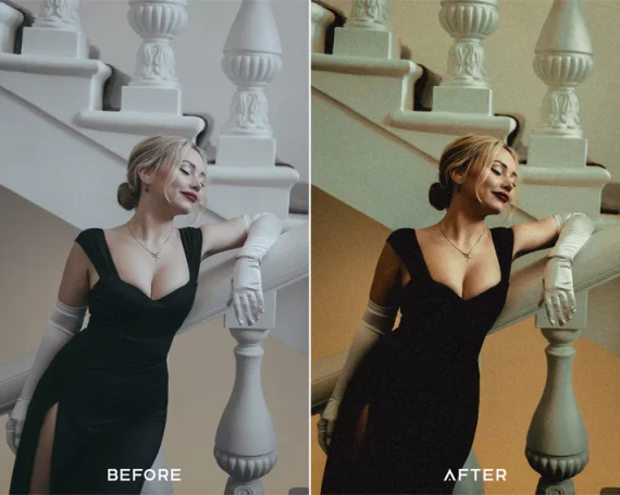 Memoir Preset and Luts Collection