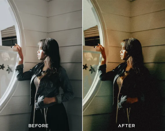 Memoir Preset and Luts Collection