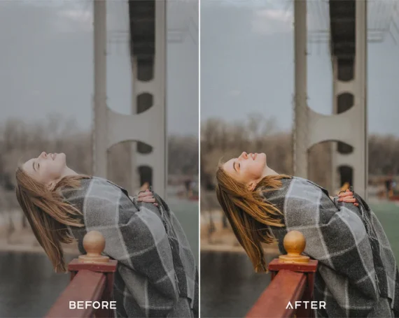 Natural Preset and LUTs Collection