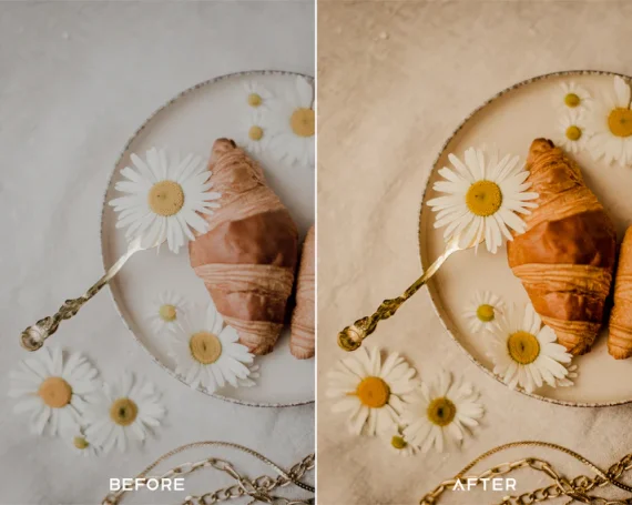 Product Preset and LUTs Collection