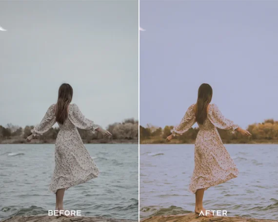 Vintage Look Preset and LUTs Collection