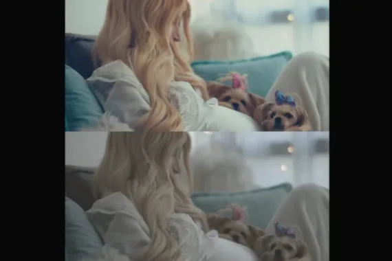 Cinematic Film LUTs for BMPCC 4k and 6k