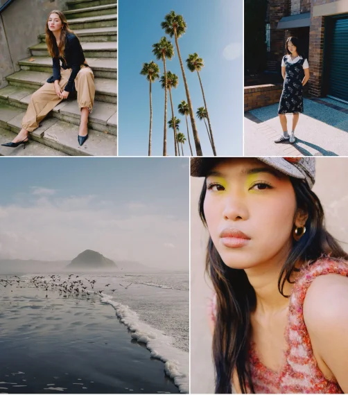 Mitch Lally - Natura Lightroom Preset Profiles