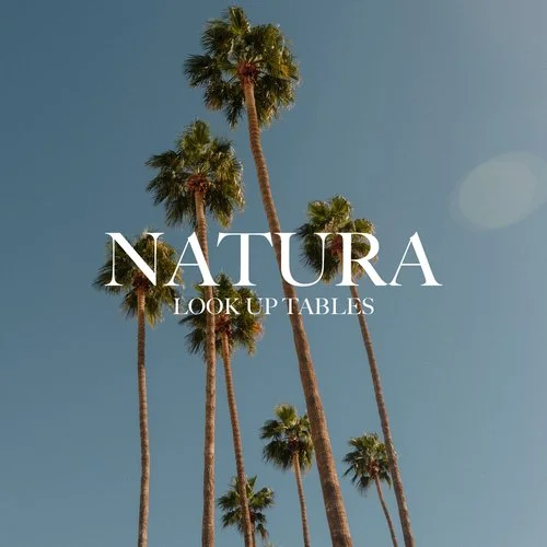Mitch Lally - Natura LUT Pack