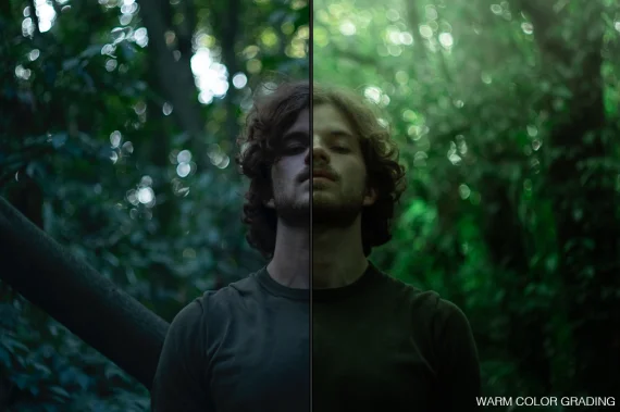 WINTER / Lightroom Presets