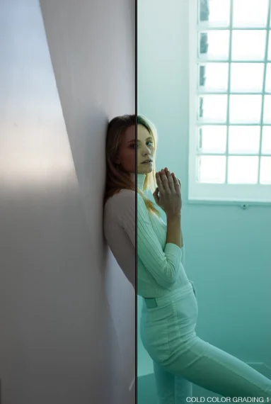 WINTER / Lightroom Presets