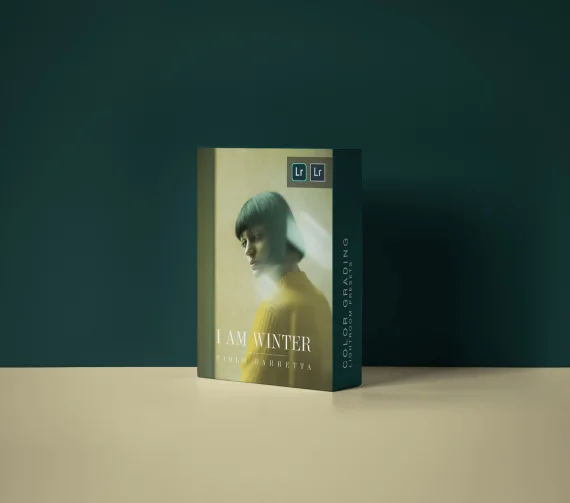 WINTER / Lightroom Presets