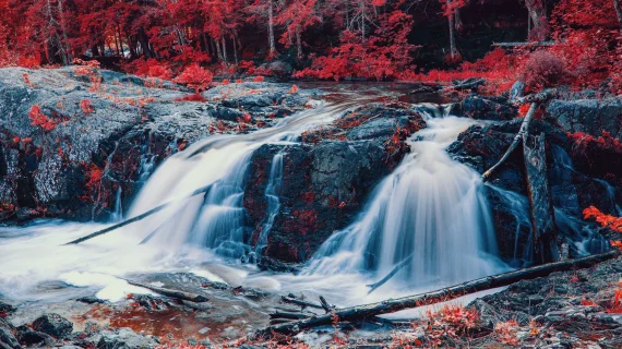 The RunNGun – AEROLUX LUT