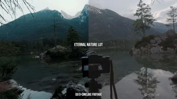 Complete People & Nature Cinema LUT Bundle
