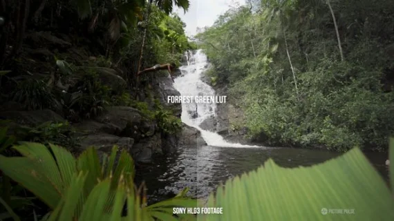 Complete People & Nature Cinema LUT Bundle