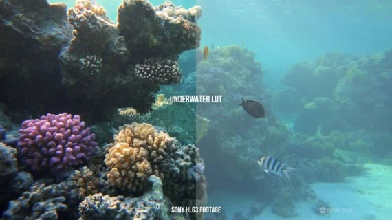 Complete People & Nature Cinema LUT Bundle