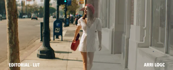 Tropic Colour – BOLD ABSTRACTION LUTS