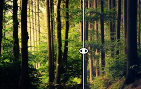 Nature LUTS Color Lookup Photo Filter