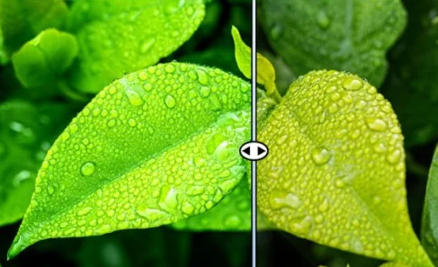 Nature LUTS Color Lookup Photo Filter