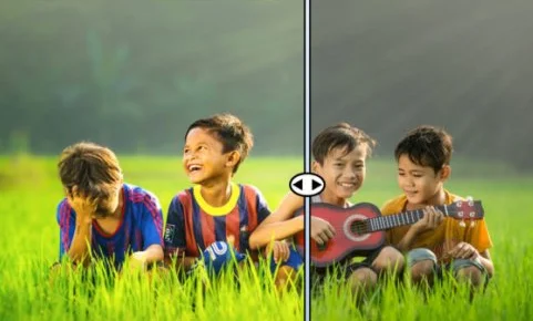 Bright LUT Collection Photo Lookups