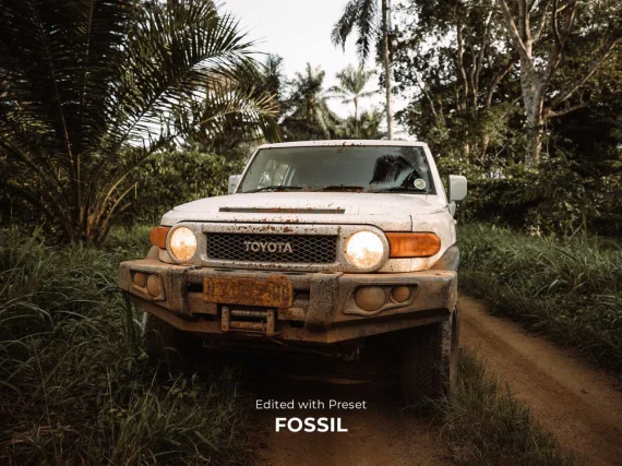 care4art Master Collection Presets