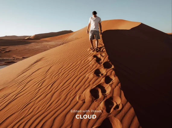 care4art Master Collection Presets