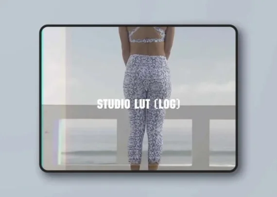 Guillaume Cornet – BLUU LUTs (for videos)