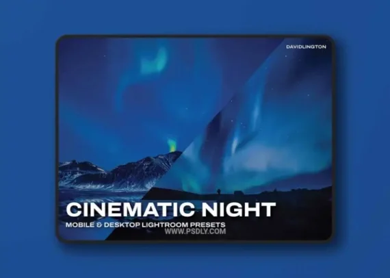 Cinematic Night Lightroom Presets & LUTs
