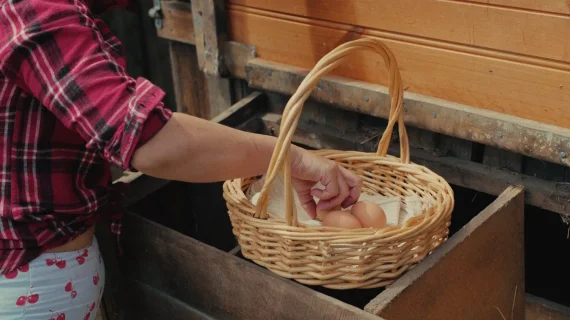 JUAN MELARA – Kodak 2393 YRGB PowerGrade & Film Matrix PowerGrade