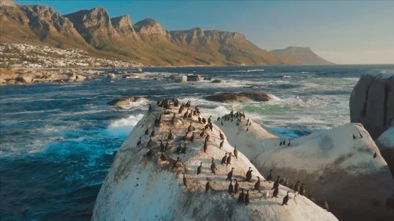 X-LAB Mavic Specialized Film Color Looks – SpectrumGrades