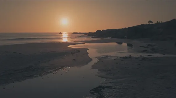 X-LAB Mavic Specialized Film Color Looks – SpectrumGrades