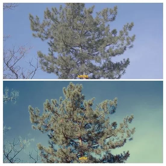 Davinci Resolve – Super 8mm Home Film Emulation Power Grades