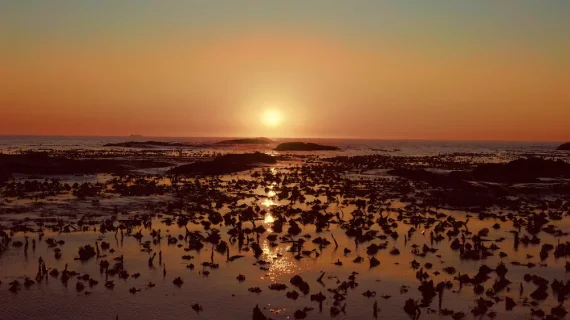 Cine Collection DJI Mavic 2 Pro LUTs & Tools Pack Spectrum Grades