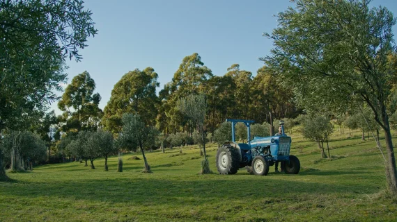 JUAN MELARA – P6K2Alexa PowerGrade AND LUTs V2 GEN 5