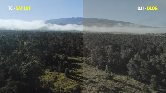 Tropic Colour – Drone Looks