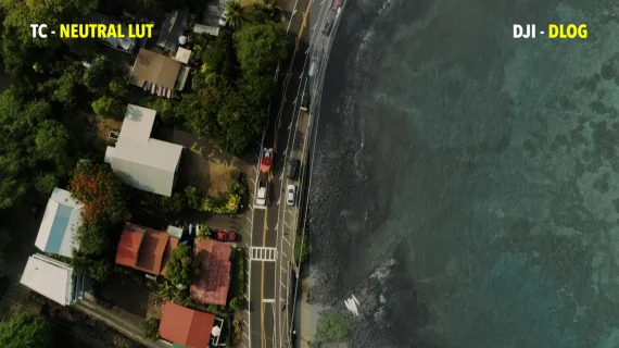 Tropic Colour – Drone Looks