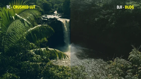 Tropic Colour – Drone Looks