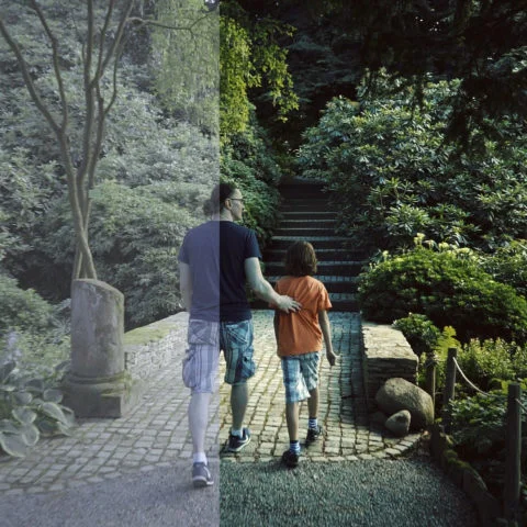 FilterGrade - Levels LUT Video LUTs