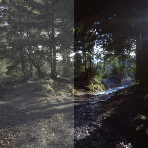 FilterGrade - Levels LUT Video LUTs