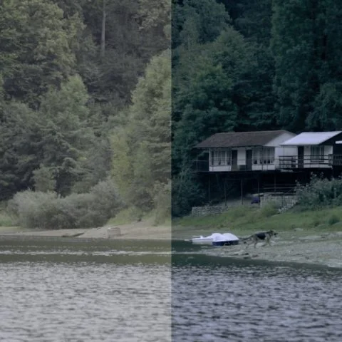 FilterGrade - Levels LUT Video LUTs