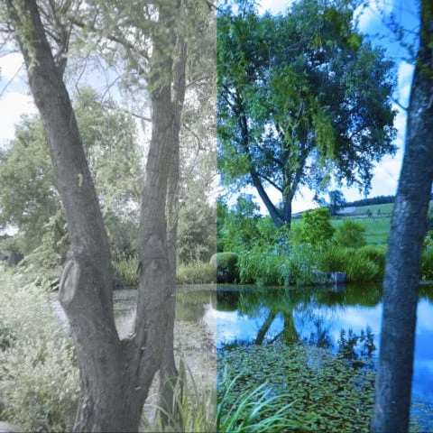 FilterGrade - Levels LUT Video LUTs