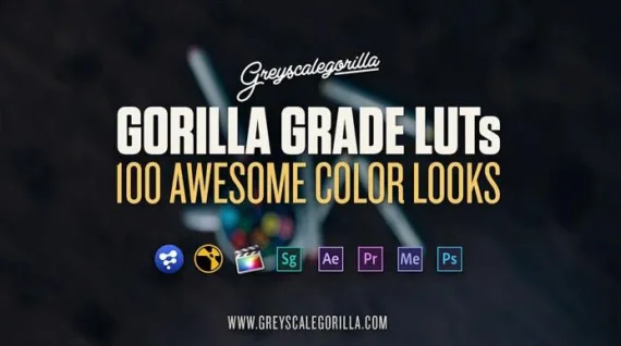 Greyscalegorilla – Gorilla Grade LUTs