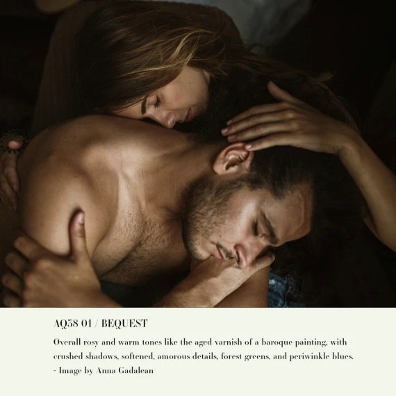 Archipelago - Quest 38 Bequest Presets