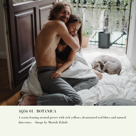 Archipelago - Quest 36 Botanica Presets