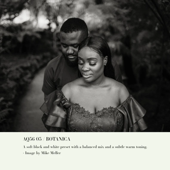 Archipelago - Quest 36 Botanica Presets