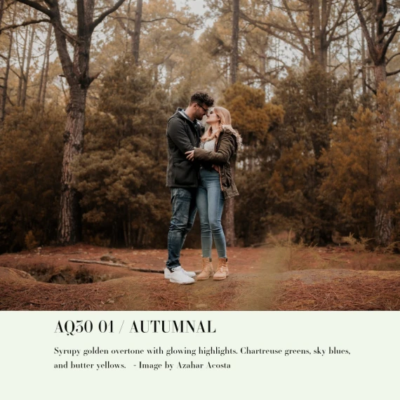Archipelago - Quest 30 Autumnal Presets