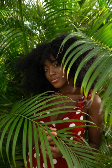 Archipelago - Light & Truth Presets