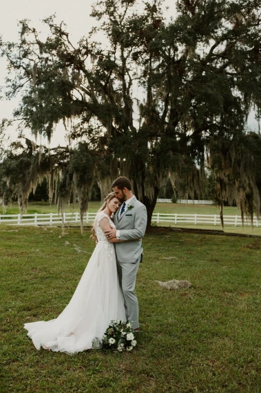 Archipelago – Redwood Presets