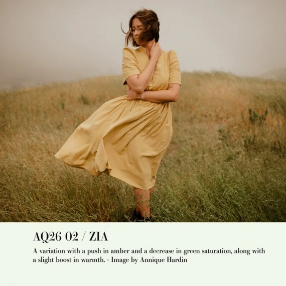 Archipelago – Quest 26 Zia Presets